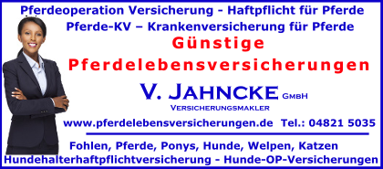 Pferdelebensversicherungen